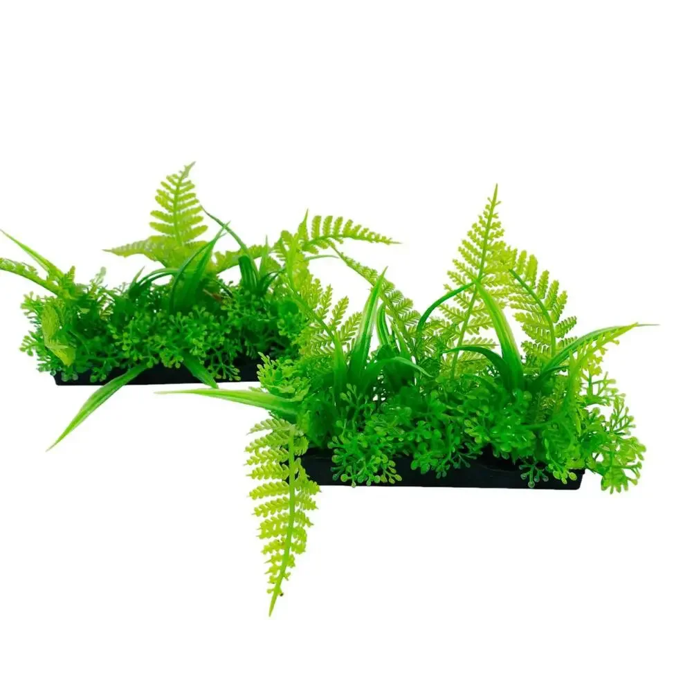 Penn Plax Aquarium Fish Tank Plant Medium Ostrich Fern Bunch Plant (2 pack)